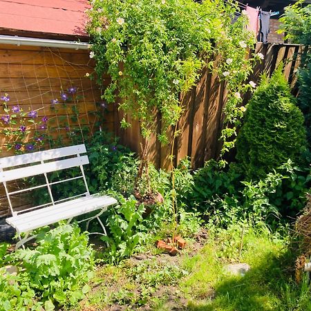 Ferienhaus Am Wasser Im Gruenen Zecherin 外观 照片